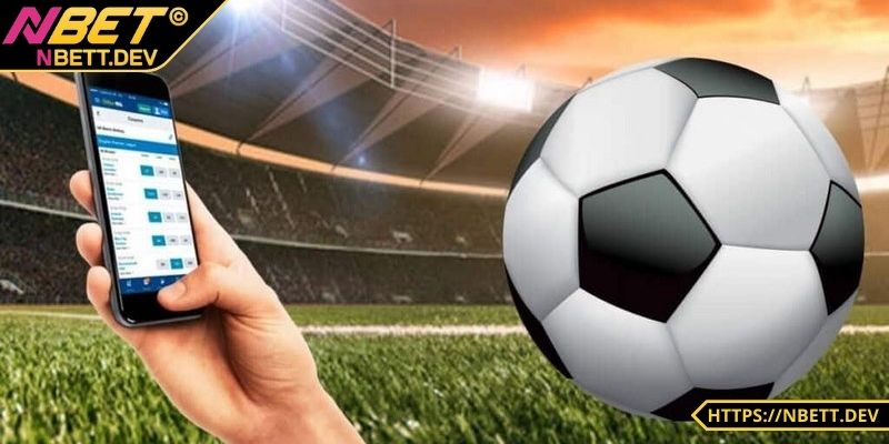 CMD Thể Thao - Sân Chơi Cá Cược Trực Tuyến Đỉnh Cao, Hấp Dẫn 8 Cần nắm vững quy định cơ bản của nền tảng