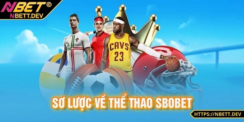 Thông tin về SBO thể thao